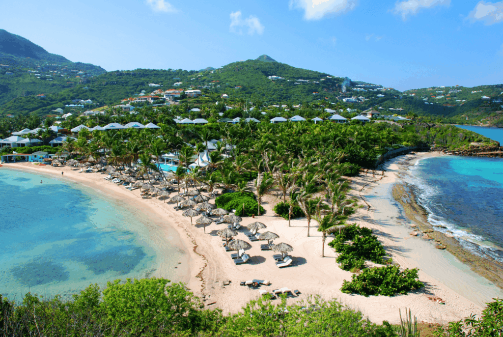 centrale d'achat à Saint Barthélemy