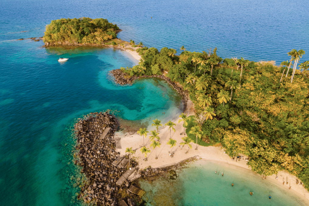 Centrale d'achat en Martinique