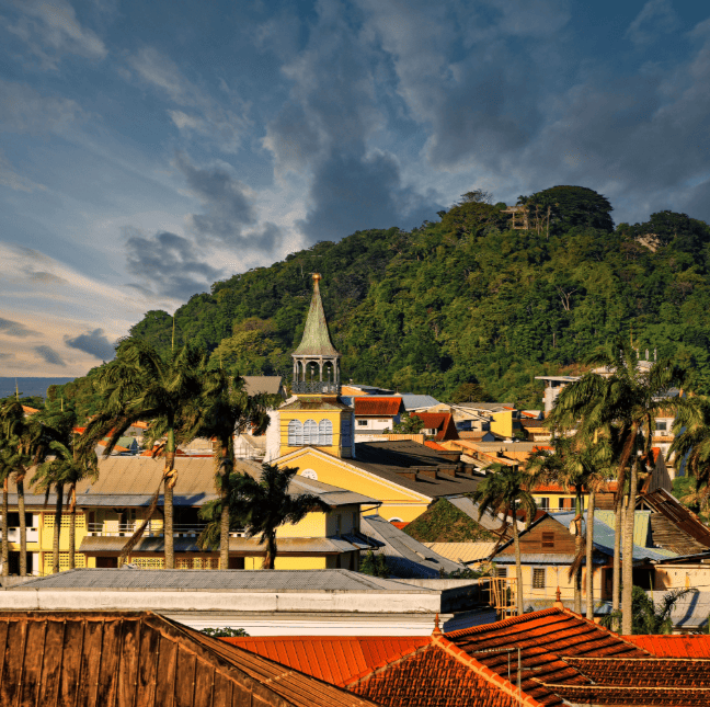 Centrale d'achat et sourcing en Guyane
